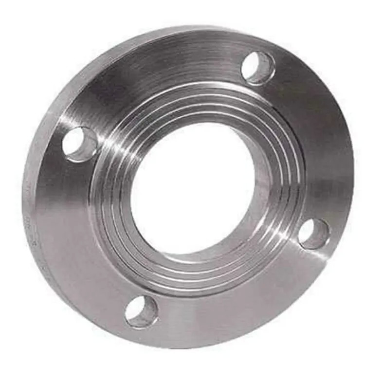Back Ring Forged Steel Flanges Pipe Fittings Customized Size