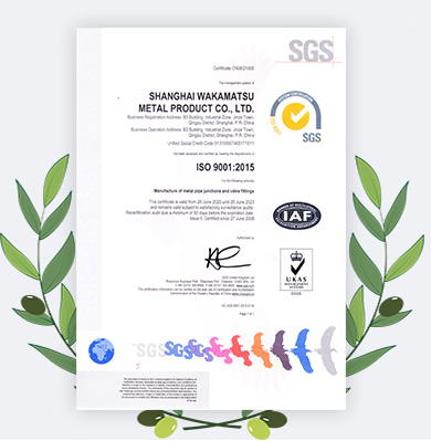 Нержавеющая сталь 6*3 NPS Задние сварные фитинги Эксцентрический редуктор WP316LN 10