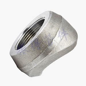 Metal 1" DN25 Weldolets in Stainless Carbon Steel Corrosion-Resistant for Marine Industries