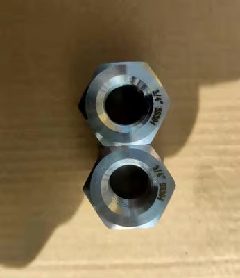 Stainless Steel Forged Pipe Fittings for Gas Oil and Water Connections