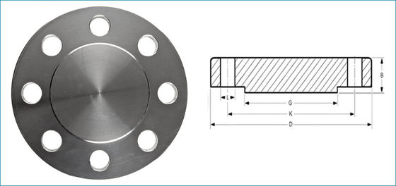 Rapid Dispatch Low MOQ Customized SS316 Stainless Steel Blind Flange for Oil Gas Pipeline Engineering